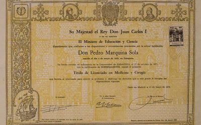 Licenciado en Medicina y Cirugía