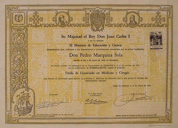 Licenciado en Medicina y Cirugía