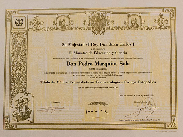 Titulo de Médico Especialista en Traumatología y Cirugía Ortopedica