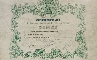 Bellota de Plata Videomet 87