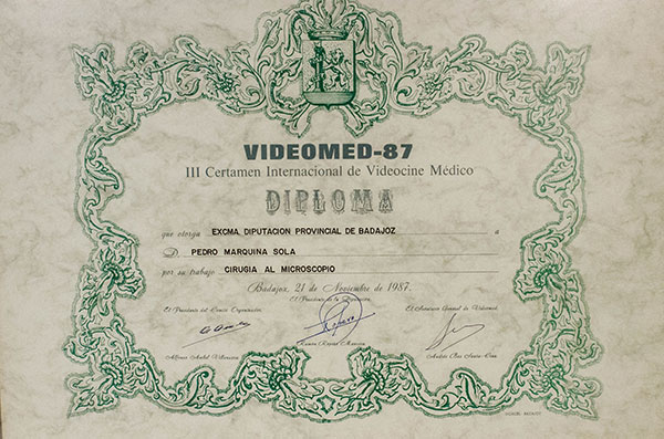 Bellota de Plata Videomet 87