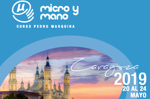 Curso de Micro y Mano Pedro Marquina 2019