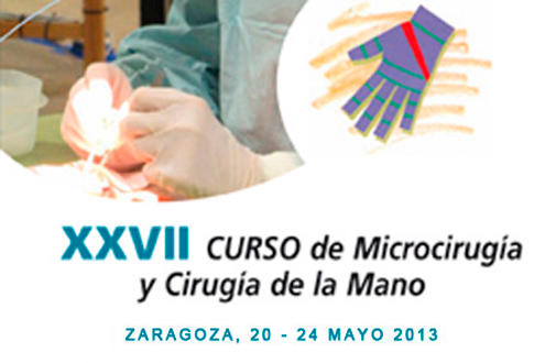 Curso de Formación Microcirugía y Cirugía de la Mano 2013