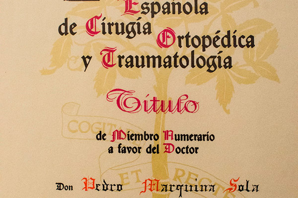 Miembro de la Sociedad de Cirugía Ortopedica y Traumatología