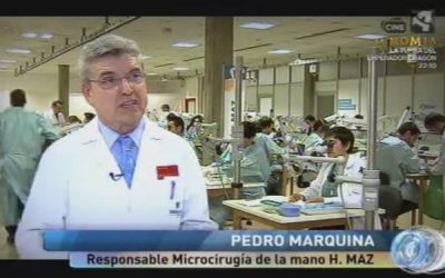 Programa Objetivo «Pulso, Templanza y Concentración»