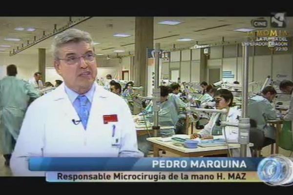 Programa Objetivo «Pulso, Templanza y Concentración»
